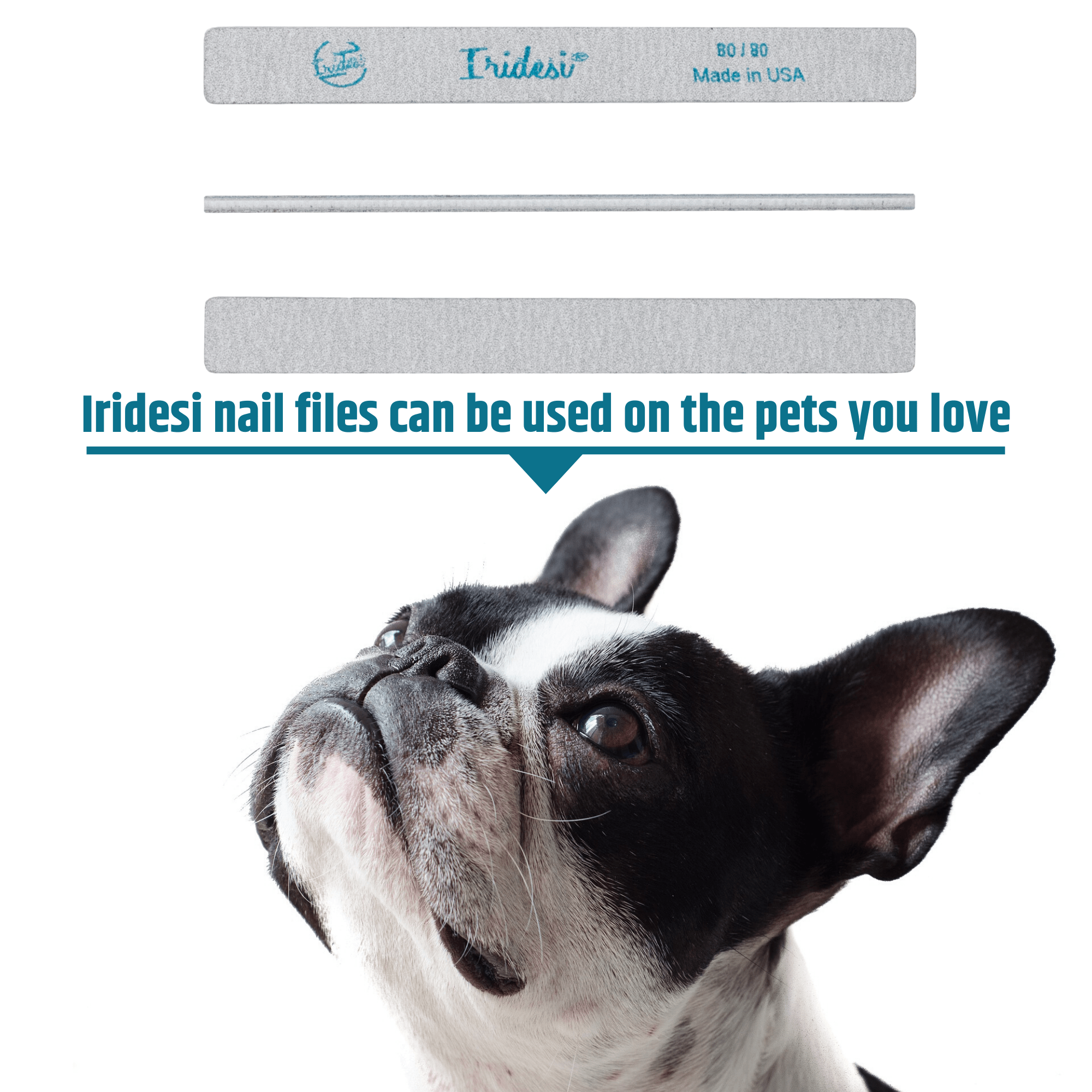 dog looking up a square end, zebra, Iridesi nail files with the text, "Iridesi nail fiels can be used on the pets your love"