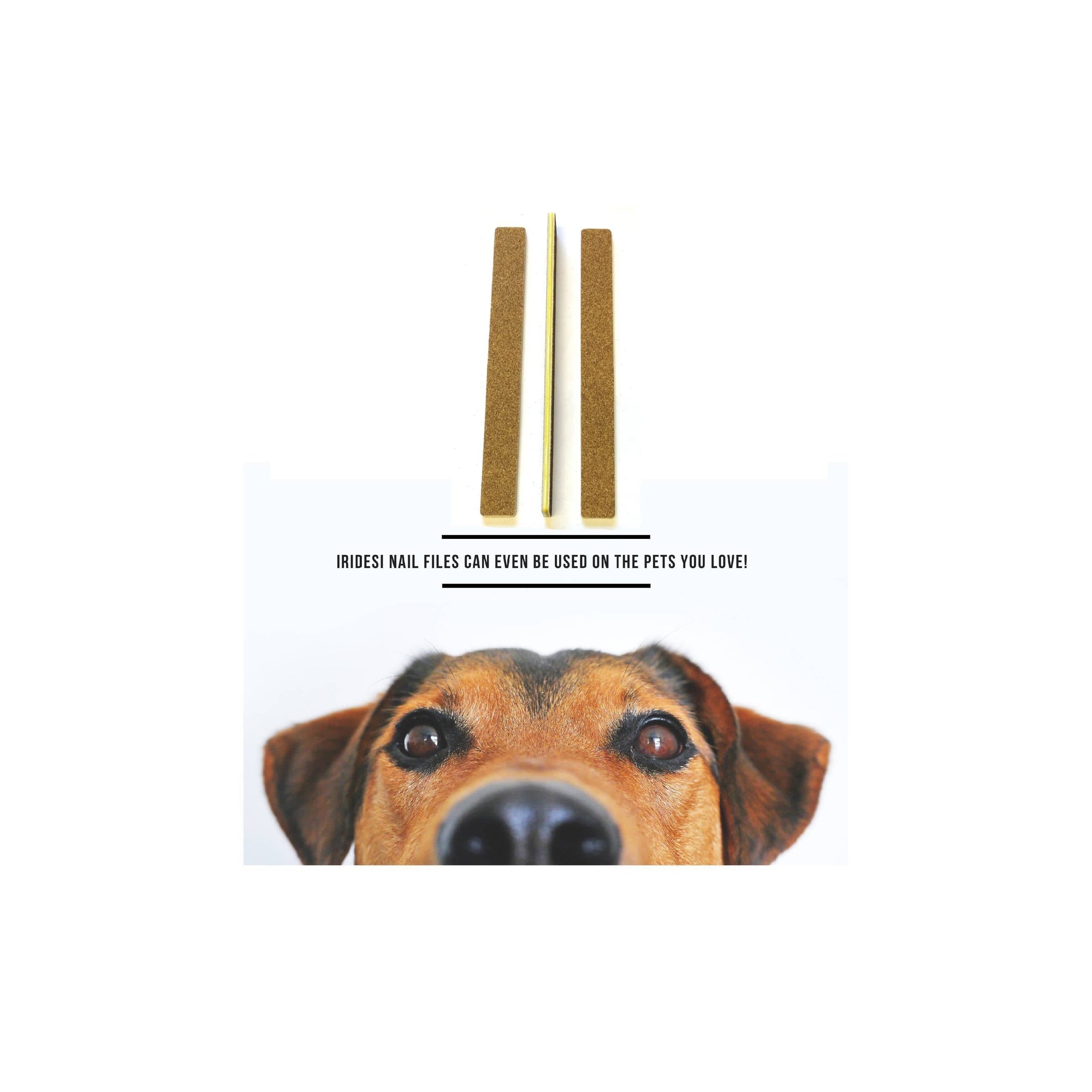 3 brown, square end Iridesi nail files showing the front, side, and back. Over the text "Iridesi nail files can even be used on the pets you love!" The face of a brown furred dog is looking straight at the camera.