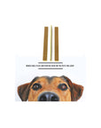 3 brown, square end Iridesi nail files showing the front, side, and back. Over the text "Iridesi nail files can even be used on the pets you love!" The face of a brown furred dog is looking straight at the camera.