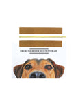 The Iridesi brown nail files with a yellow center in a horizontal position over the words, "Iridesi nail files can even be used on the pets you love!" The face of a brown dog is looking at the camera.