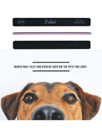 black iridesi nail files showing the front, side and back, above the text "Iridesi nail files can even be used on the pets you love!" A brown dogs face is looking at the camera at the bottom