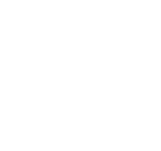 Iridesi